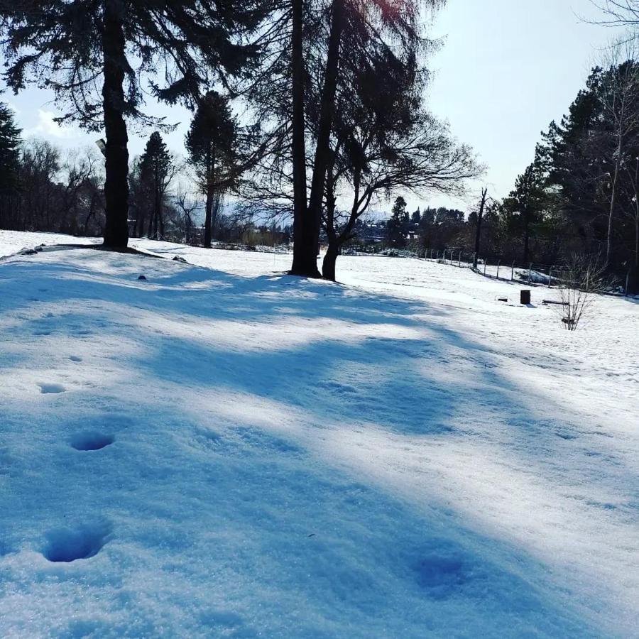 Posada Del Nireco San Carlos de Bariloche Dış mekan fotoğraf