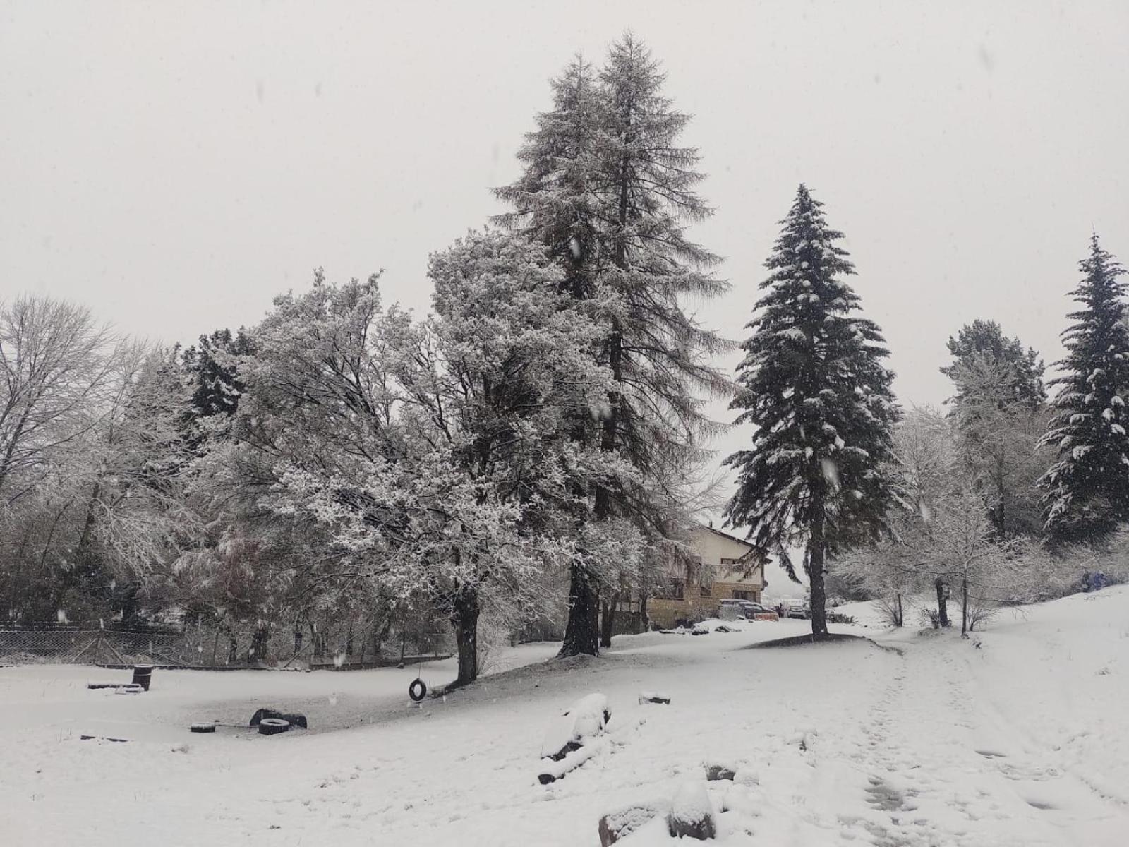 Posada Del Nireco San Carlos de Bariloche Dış mekan fotoğraf
