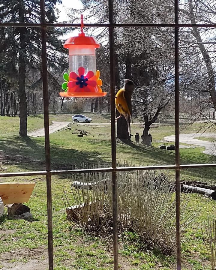Posada Del Nireco San Carlos de Bariloche Dış mekan fotoğraf
